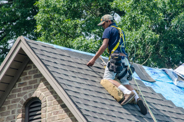 Best Roof Gutter Cleaning  in Harrison, OH